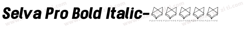 Selva Pro Bold Italic字体转换